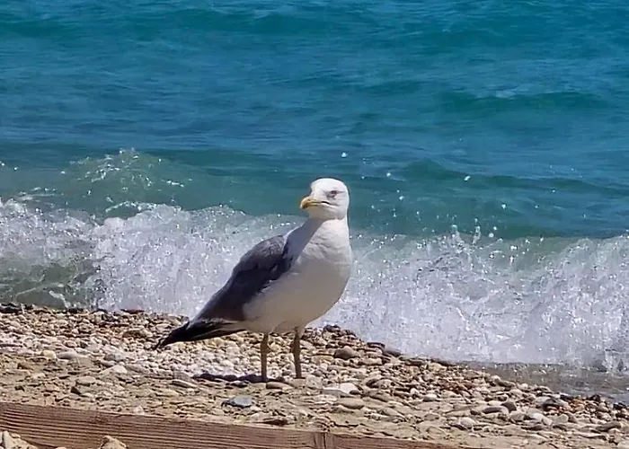 Vmg Thassos Limenaria (Thasos)